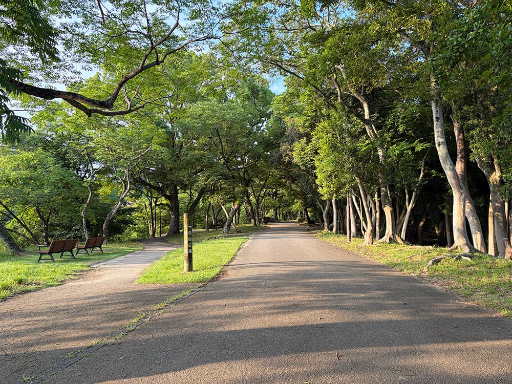 西南杜の湖畔公園