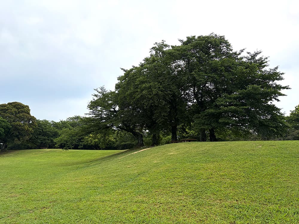 西南杜の湖畔公園